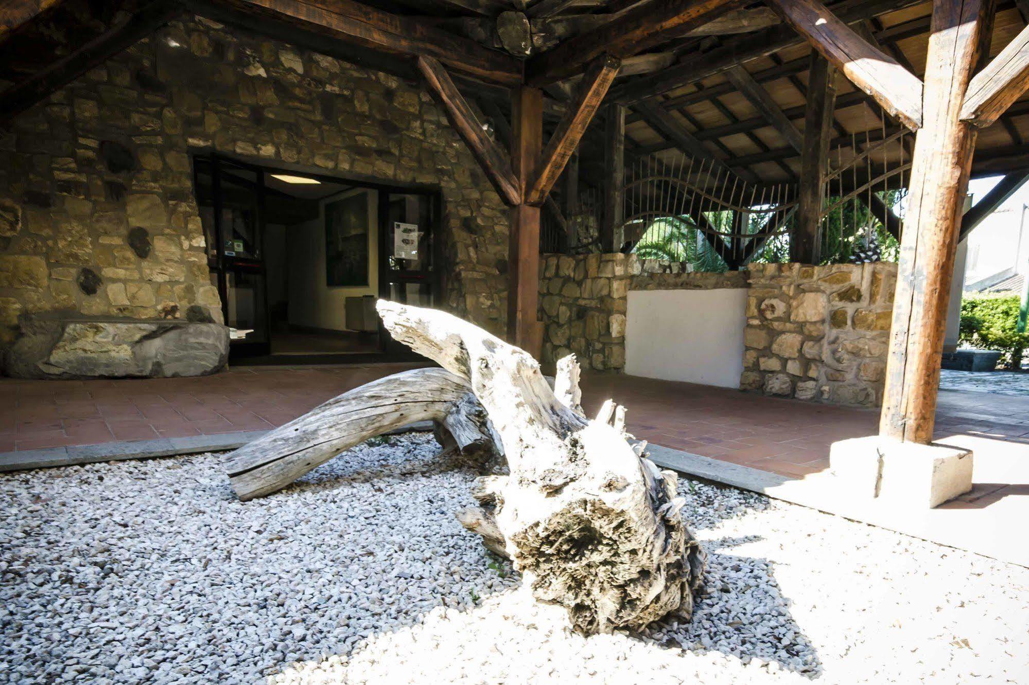 Torre Del Sole Hotel Tarquinia Exterior photo
